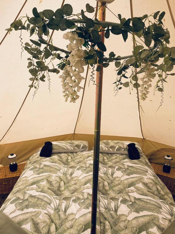 Duneden Belle Glamping Randalstown Екстер'єр фото