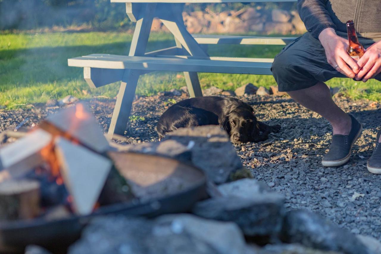 Duneden Belle Glamping Randalstown Екстер'єр фото